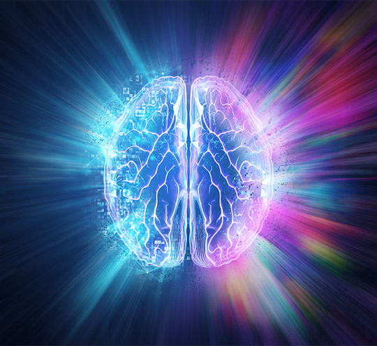brain brain